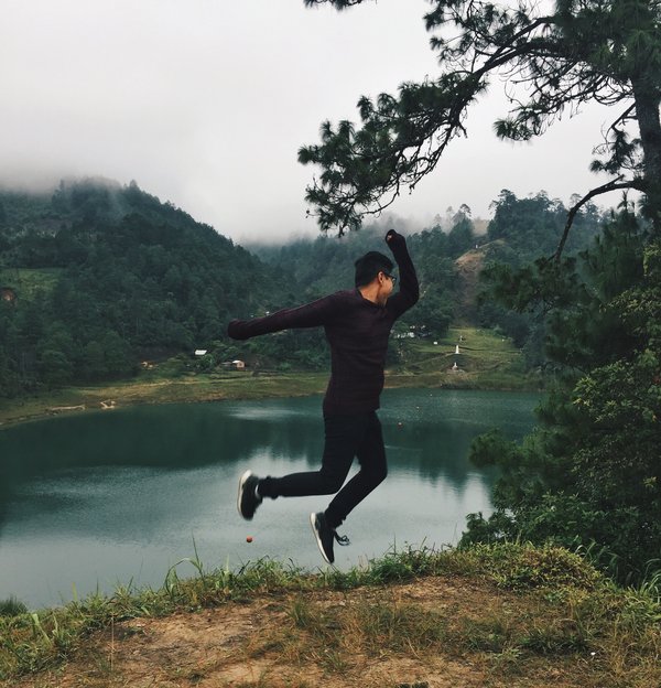 Quels sont les prérequis pour participer à une course de traîneau à chiens en Norvège ?